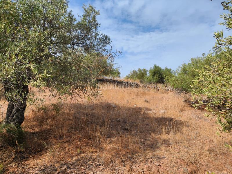 Foto bdb2538b-3d3a-4646-85dc-93b08d751631. Terreno residencial en Casabermeja