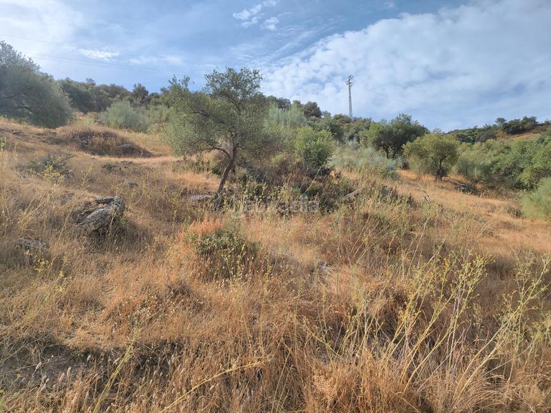 Foto c11e534c-fa08-45bc-bf94-20d88a52867e. Terreno residencial en Casabermeja