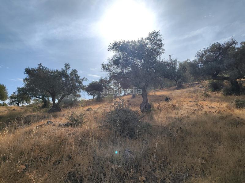 Foto e45a63aa-0faf-4ef4-90a1-afdd5da94424. Terreno residencial en Casabermeja