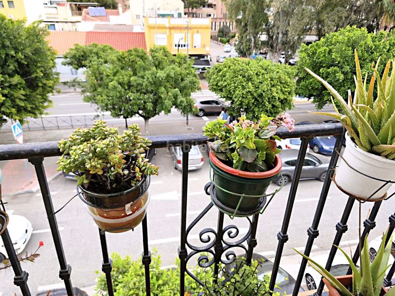 Foto 172cd423-db3e-4889-860f-9ed957fc2c03. Pis a Barrio de Ciudad Jardín Málaga