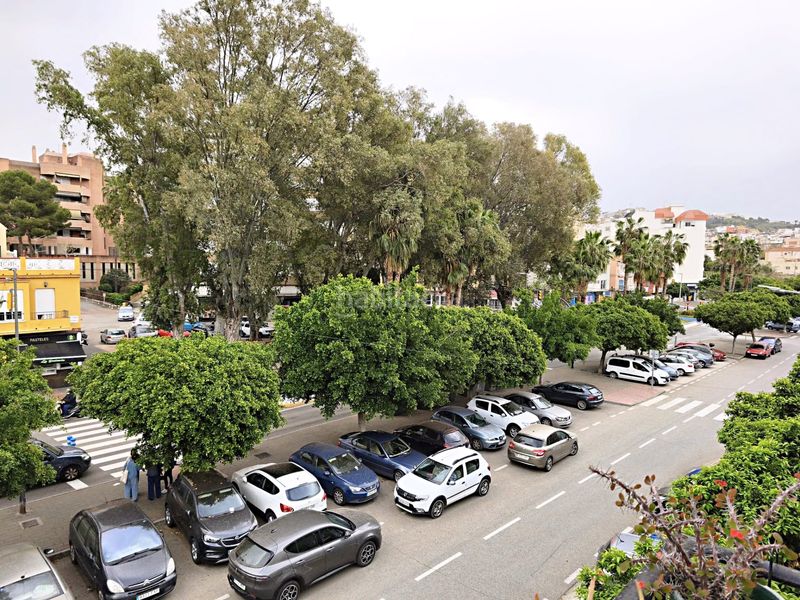 Foto 3acf159f-0fd5-4347-b0ca-eb07cbfe7cd5. Pis a Barrio de Ciudad Jardín Málaga