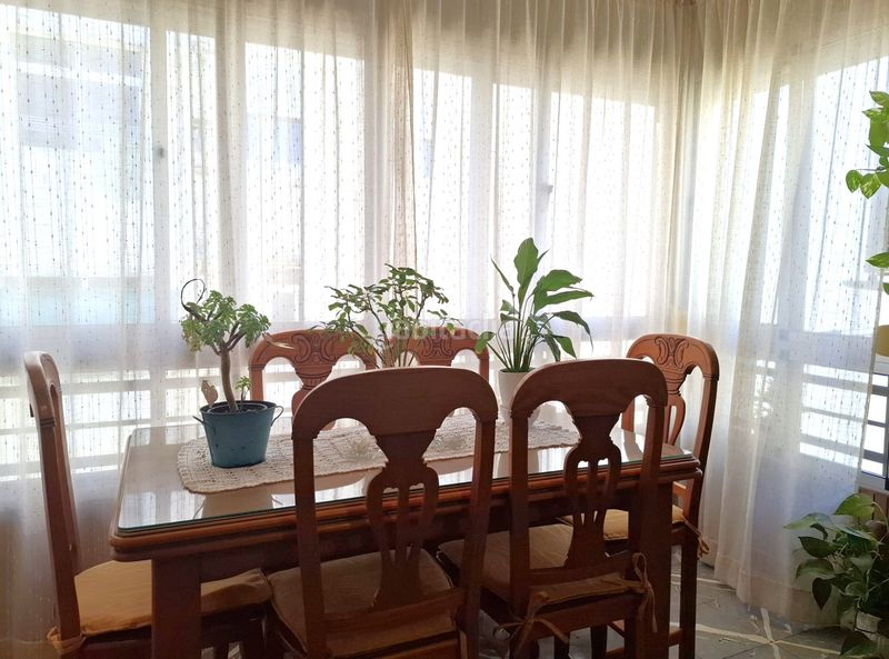 Foto acabb96b-d8e3-40d2-82e2-ff1d62045a66. Pis a Gibralfaro Málaga