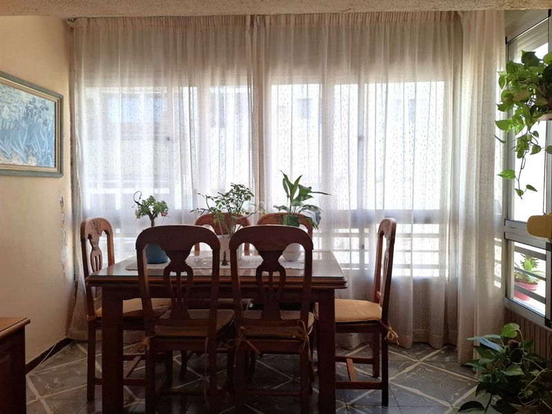 Foto d1dfcb8b-50cc-4199-98b3-31f775137b84. Pis a Gibralfaro Málaga