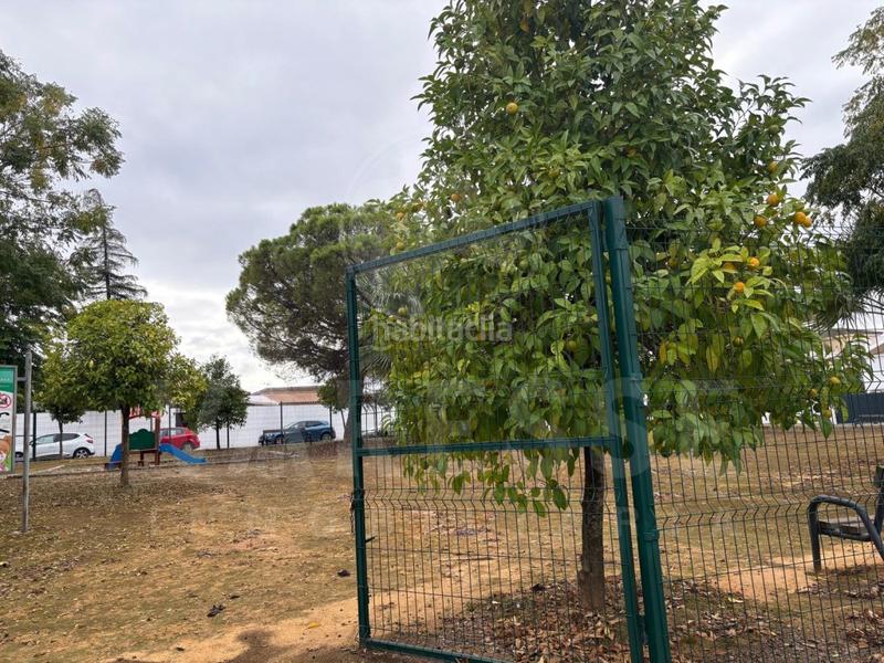 Foto 35858594-a73d-4589-b773-ce355a81920b. Casa adosada chalet adosado con piscina comunitaria!!! en Villanueva del Ariscal