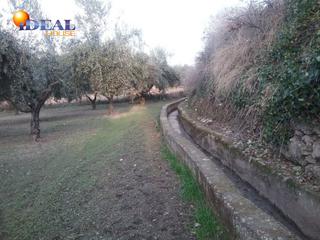 Masia a La Zubia Ciudad. Olivar en la zubia de 3.597 m2