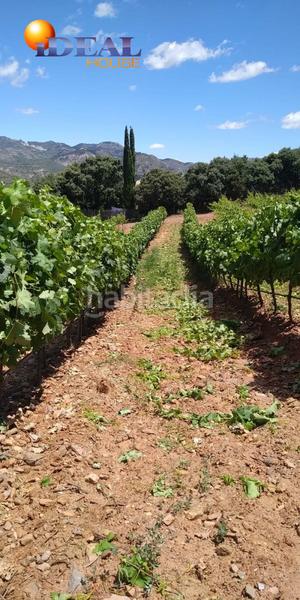 Foto 97a18a2d-fc85-405b-a125-5f7ce910e117. Finca rústica a Dúdar