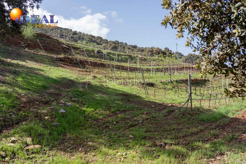 Foto ddda4a92-2e7d-4542-b9c0-d3de299fb7f9. Finca rústica a Dúdar