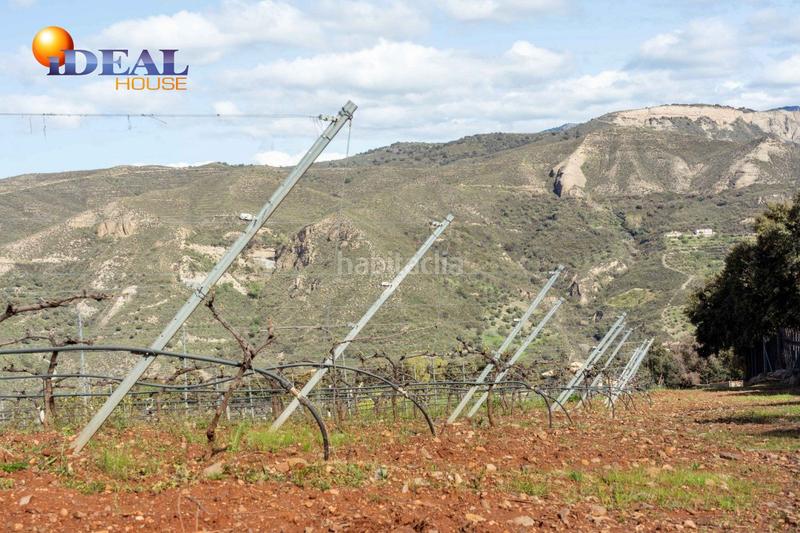 Foto f7b5f1c8-3b23-4e0f-9d2c-232224dd8497. Finca rústica a Dúdar