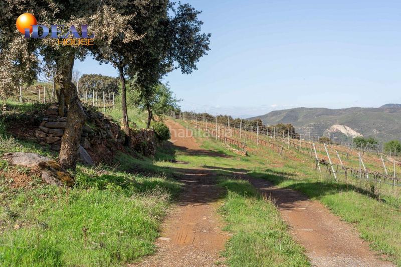 Foto fb4b79ae-3140-437c-a82a-4a1ef47d770a. Finca rústica a Dúdar