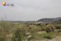 Ampliar foto 9ea6a984-1b0d-4871-bff8-9d800debefe6.jpg