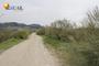 Ampliar foto baa4e7ba-04c5-4784-b67c-f65c05c1bfee.jpg