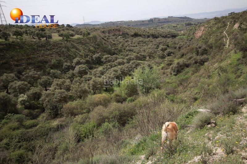 Foto 03119c43-eb31-466b-8c58-ecfabf2ed332. Masía finca en barranco san jerónimo bartodano en Víznar