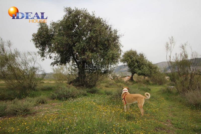 Foto 054e3dea-1253-4da0-8439-21a3b51d8ff7. Masía finca en barranco san jerónimo bartodano en Víznar
