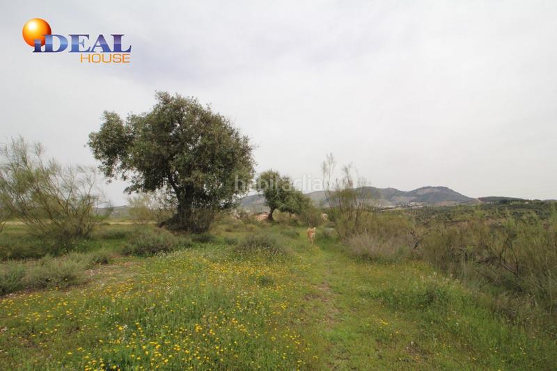 Foto 0cd4ca80-b8dd-43b7-b9a9-ab3bf692831d. Masía finca en barranco san jerónimo bartodano en Víznar