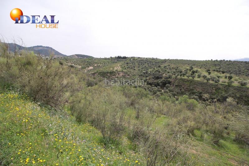 Foto 58ff5f42-481f-45a4-86b1-8bc4adbb4c3c. Masía finca en barranco san jerónimo bartodano en Víznar