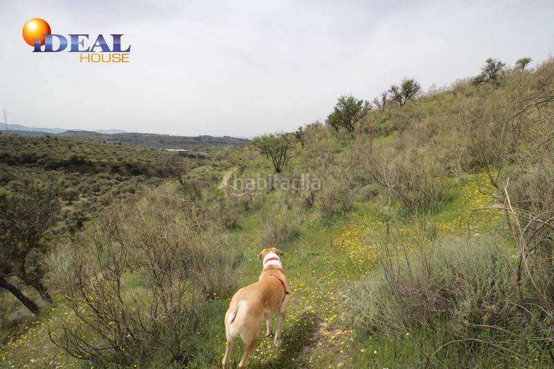 Foto 5d9784f1-ecb0-485d-991e-e98dc6e568bb. Masía finca en barranco san jerónimo bartodano en Víznar