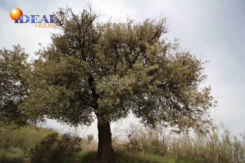 Foto 6d7c294a-b3cb-4d5a-a94e-6799902c2c4c. Masía finca en barranco san jerónimo bartodano en Víznar