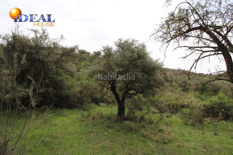 Foto 872b1623-3033-4ff1-8f06-c21a0c2e0d4b. Masía finca en barranco san jerónimo bartodano en Víznar
