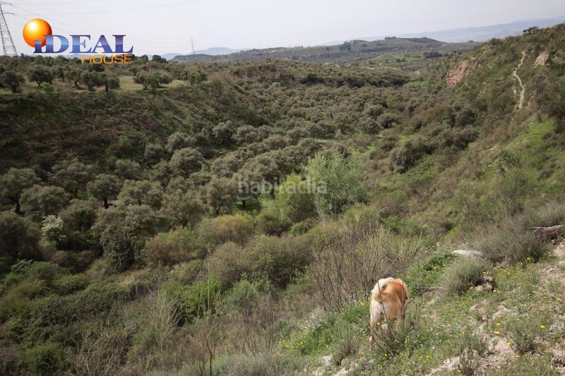 Foto 9fb27e3e-3421-463e-b6ca-da7ea0cdfe0a. Masía finca en barranco san jerónimo bartodano en Víznar