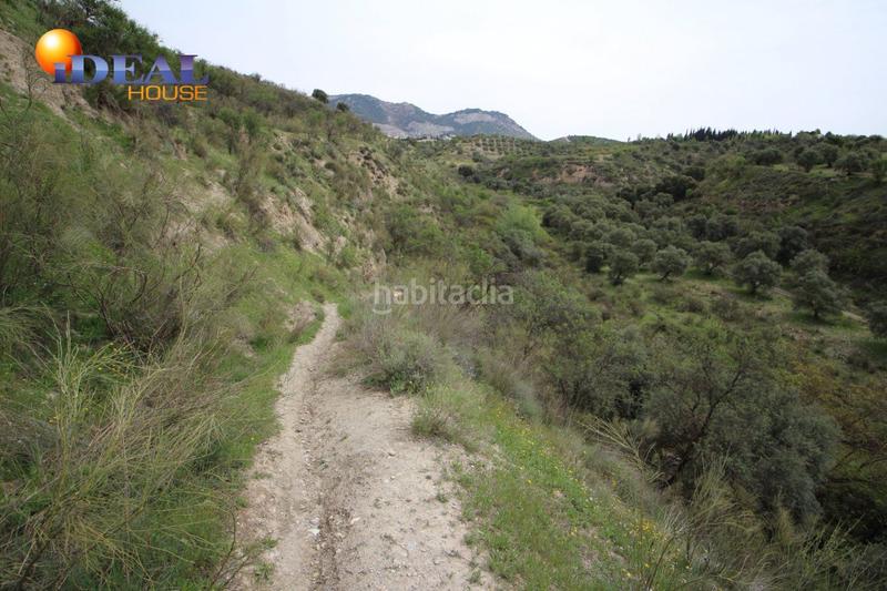 Foto c23341f7-31ab-47fc-8d9a-0ced9661bba4. Masía finca en barranco san jerónimo bartodano en Víznar