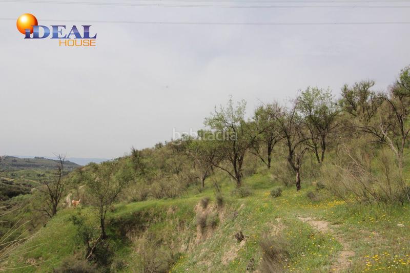 Foto cb672ada-3a21-47ee-ad99-0afe28db9dab. Masía finca en barranco san jerónimo bartodano en Víznar