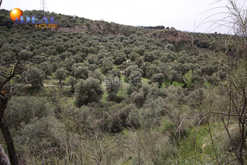 Foto cea0b86b-36fd-4067-897e-a4dcc0fd8aed. Masía finca en barranco san jerónimo bartodano en Víznar