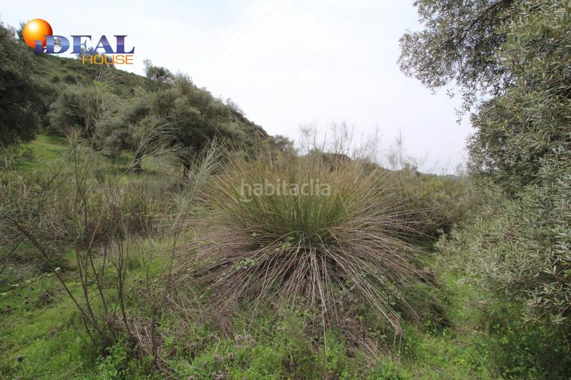 Foto db941b4d-756f-4890-a91e-acffdb3391ee. Masía finca en barranco san jerónimo bartodano en Víznar