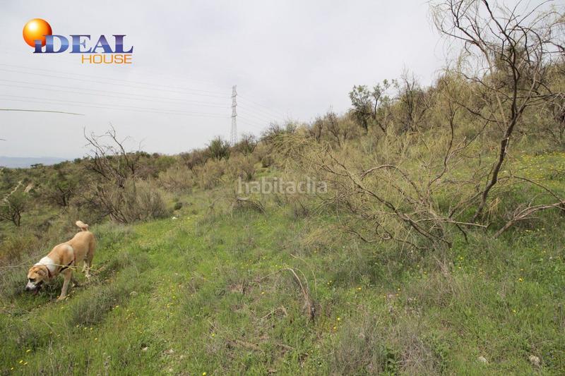 Foto f6f600ab-0dfe-4c58-8766-eceba97fe2a7. Masía finca en barranco san jerónimo bartodano en Víznar