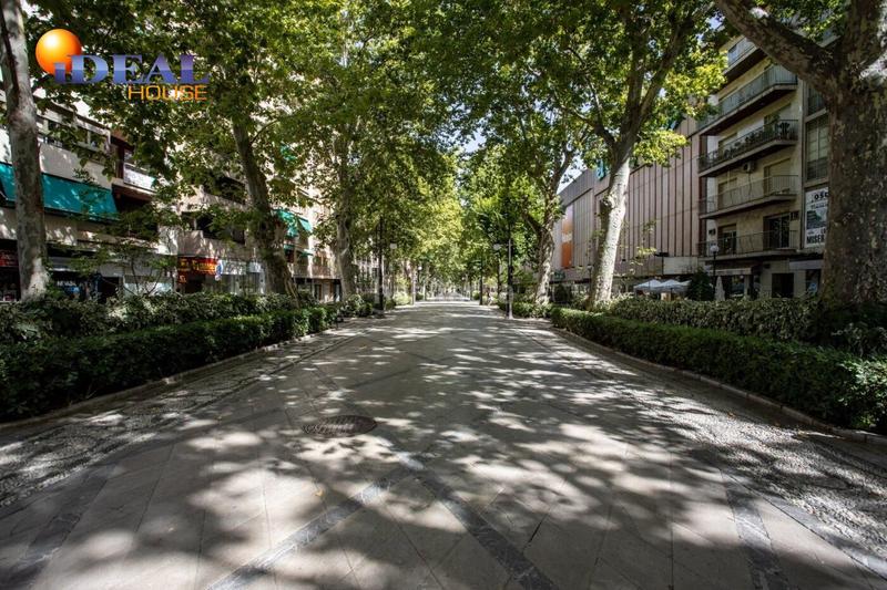 Foto 38887152-6399-44e9-a6f3-85d2d18ecd57. Locale commerciale in San Matías - Realejo Granada