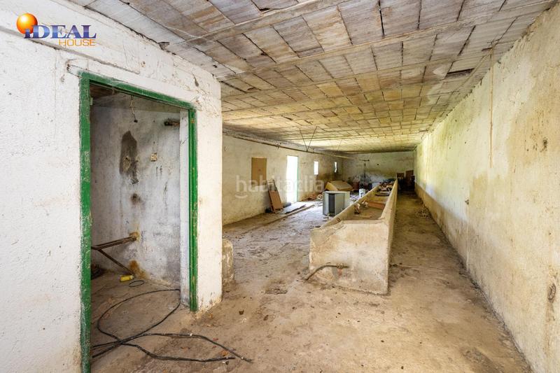 Foto 2ba0f31f-bd15-4af1-9fb1-ca75c428c422. Rural plot in Cenes de la Vega