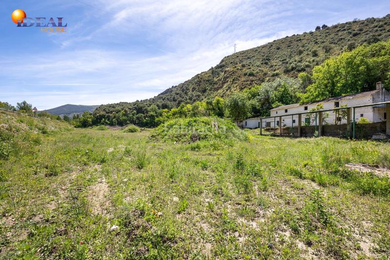 Foto b3a8d07e-bd2d-48c0-bb58-336a45a148f9. Rural plot in Cenes de la Vega