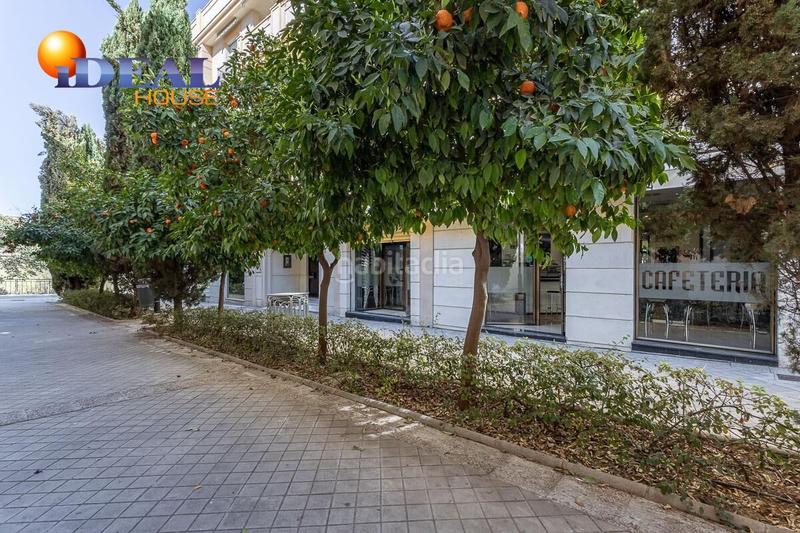 Foto 149917e2-1a45-4c3c-84bb-7db9b82bb341. Local comercial a calle rector lopez argueta 23 a Granada