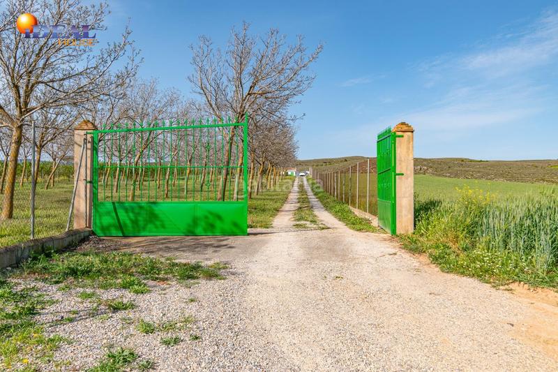 Foto 4b4bea7d-5f60-4c31-8448-661c3c925132. Finca rústica  en venta con casa, nave y piscina en Padul