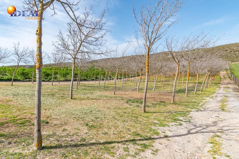 Foto 5fd8acbb-0978-4a26-94f2-00818aaad9cc. Finca rústica  en venta con casa, nave y piscina en Padul