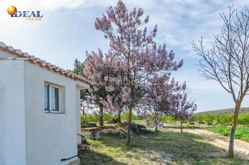 Foto 61e973e0-d06c-403e-ac17-a557d72d06f1. Finca rústica  en venta con casa, nave y piscina en Padul