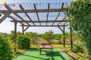 Finca rústica a Padul. Finca rústica en venta con casa, nave y piscina
