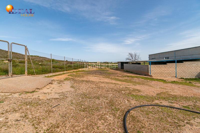 Foto 861ce5e1-12e6-42e4-ac2e-5dc738783e3d. Finca rústica  en venta con casa, nave y piscina en Padul