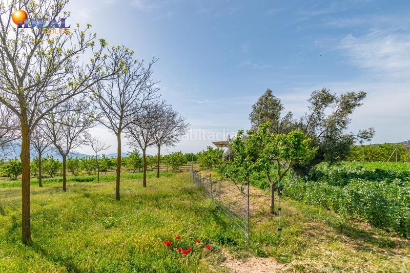 Foto 9def5a9b-e684-4938-9e4f-519f5142c260. Finca rústica  en venta con casa, nave y piscina en Padul