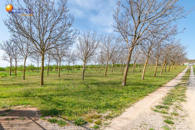 Foto a07d35d0-acfd-4e16-99a1-b2d33e2d45f9. Finca rústica  en venta con casa, nave y piscina en Padul