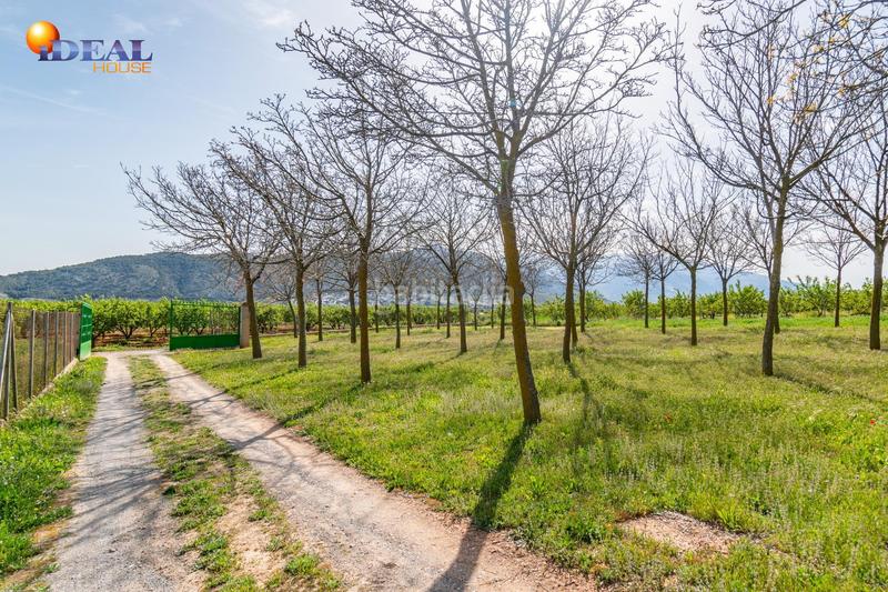 Foto a1c85044-e151-4ed0-86ae-b40b54f58020. Finca rústica  en venta con casa, nave y piscina en Padul