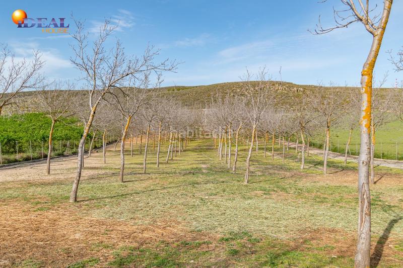 Foto a3cfa1a9-339d-40d2-a666-ebdb829ce679. Finca rústica  en venta con casa, nave y piscina en Padul