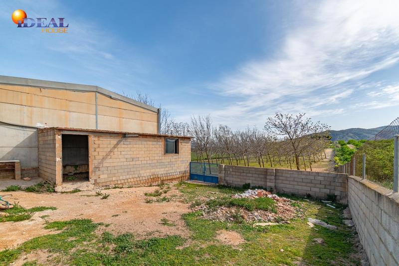 Foto b84c7a70-8e04-49f9-a63f-054e42acd508. Finca rústica  en venta con casa, nave y piscina en Padul