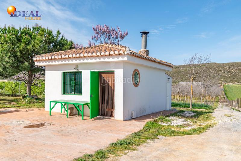 Foto bb109df7-9e6b-4d08-a38d-08ede559ae6e. Finca rústica  en venta con casa, nave y piscina en Padul