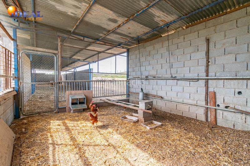 Foto cfa4f257-f90f-4027-8005-6a5c6dfc1617. Finca rústica  en venta con casa, nave y piscina en Padul