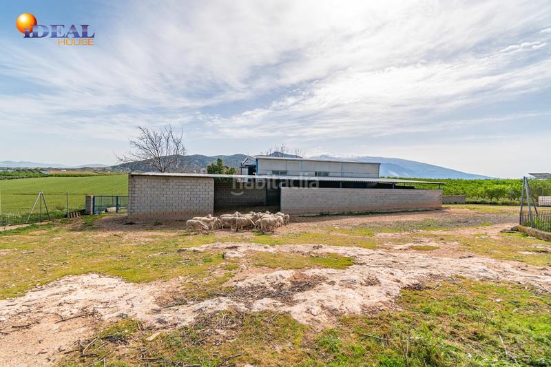 Foto deb86821-4a08-4cd9-833c-61622f5ad9b0. Finca rústica  en venta con casa, nave y piscina en Padul
