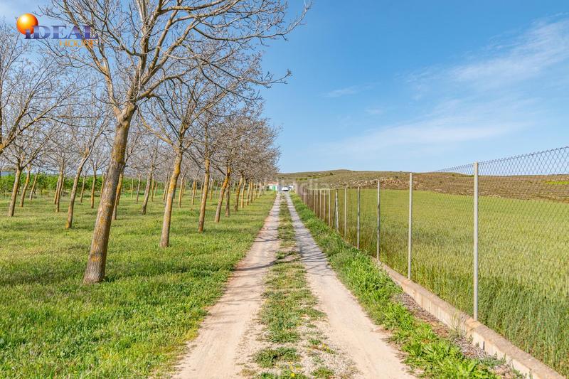 Foto e18f8e8c-e72d-4e0f-96ca-9a6775b66909. Finca rústica  en venta con casa, nave y piscina en Padul