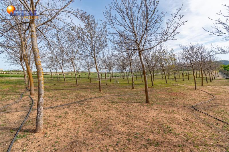 Foto ea6bceb5-5fba-4140-8c07-b036d72c7575. Finca rústica  en venta con casa, nave y piscina en Padul