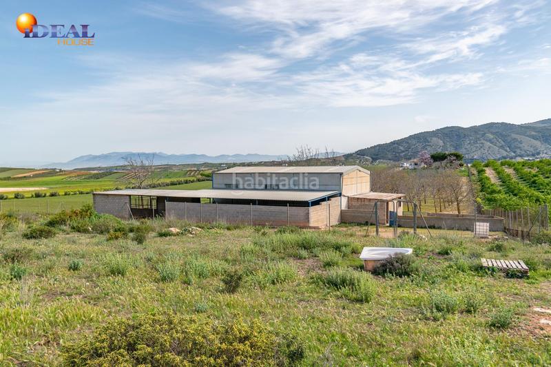 Foto ed1db472-7491-4de9-904a-9232f951c88e. Finca rústica  en venta con casa, nave y piscina en Padul