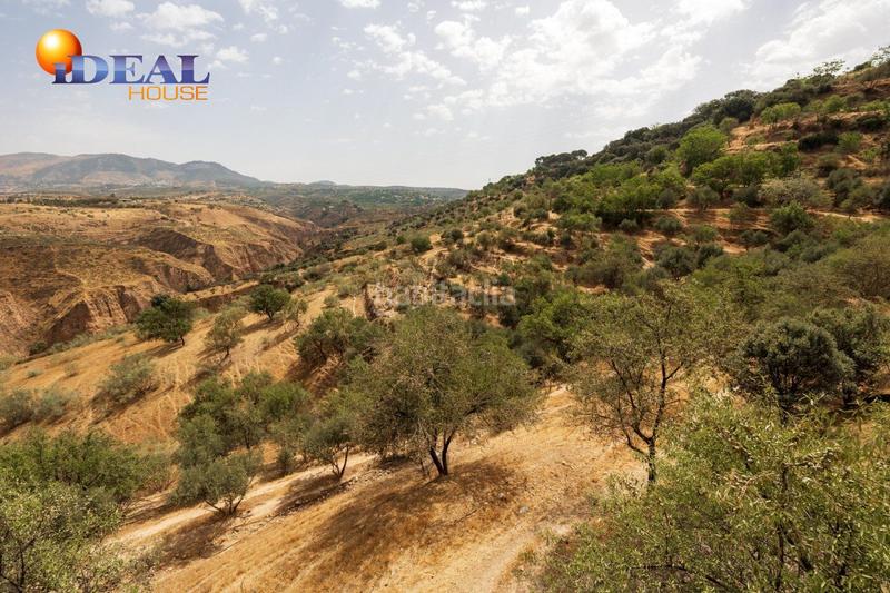 Foto a83c5e68-2dc6-4e72-85f0-515cecad1eb7. Mas avec piscine dans Haza Grande Granada