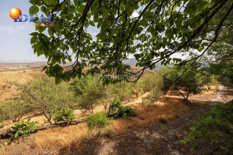 Foto cf73fff4-c930-474f-a7f9-270b2f08c0c9. Mas avec piscine dans Haza Grande Granada